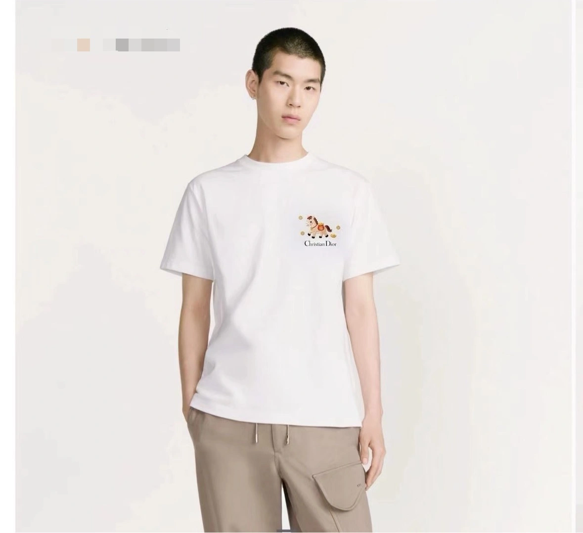 wg.luxury -- 4ior 2026 Cotton embroidery item:E-F409L1959H